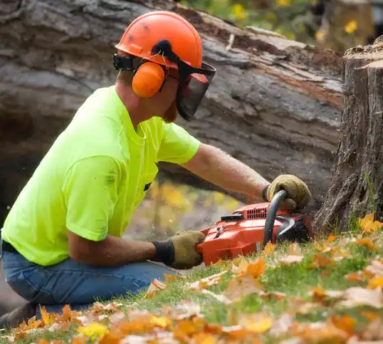 tree services Monett